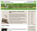 http://www.mladejov.cz