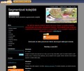 http://kolejistett.webnode.cz